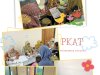 PEMERIKSAAN KESEHATAN ANAK TERINTEGRASI (PKAT) PUSKESMAS TRUCUK 1